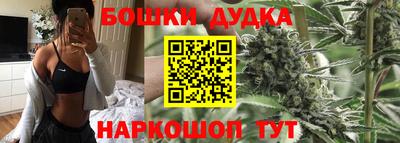 2c-b Сланцы