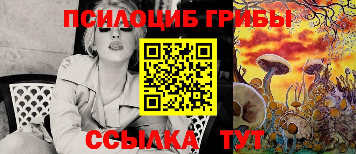 Галлюциногенные грибы Psilocybine cubensis  Вход с VPN  Богородицк 