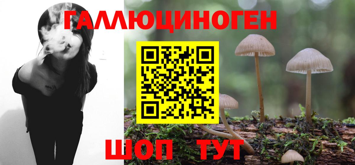 Галлюциногенные грибы Cubensis Богородицк